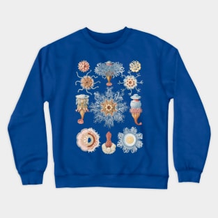 Aquatic Elegance: Coral and Jellyfish Illustrations Crewneck Sweatshirt